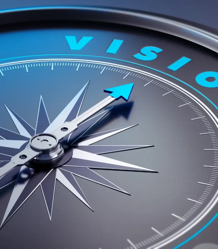 vision
